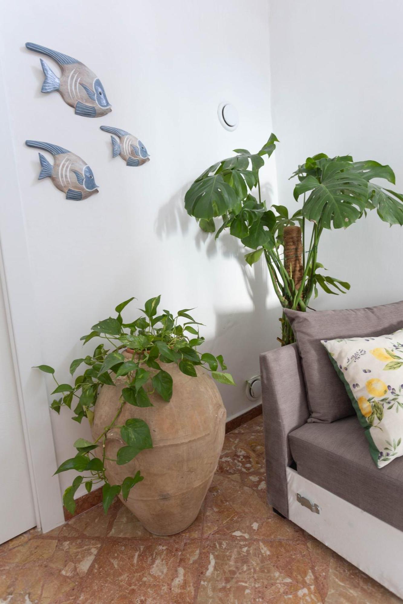 Casa Giosue - Your Home On The Amalfi Coast กองกาเดมารีนี ภายนอก รูปภาพ